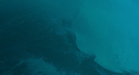Channel Expert Roundup: What is the Future of Partner Marketing in 2024?