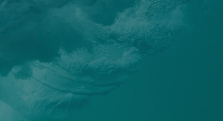 Partner Campaigns: 5 Strategies for Driving Performance