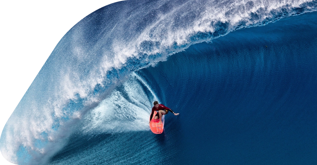 img Synopsis img Synopsis