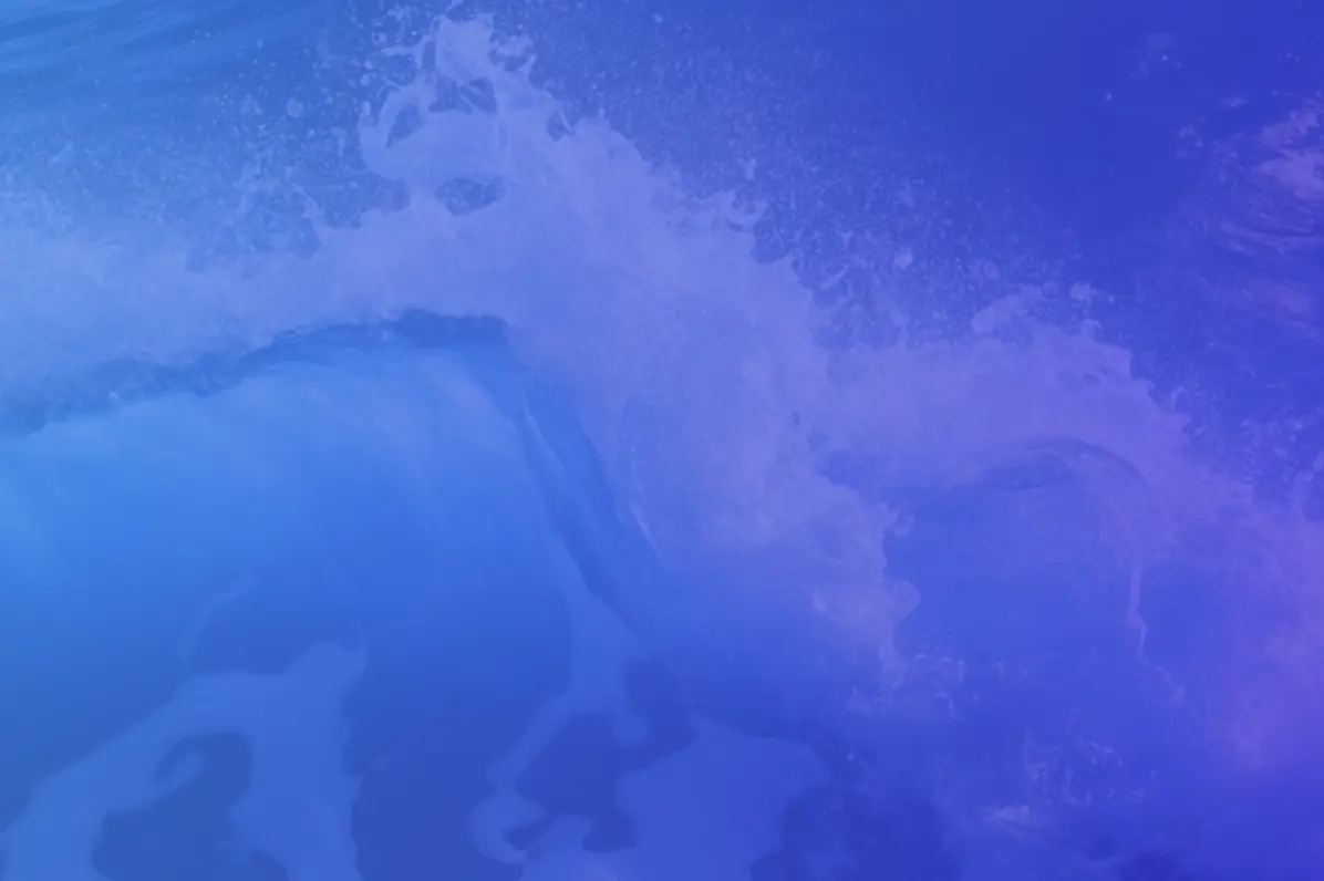 Competitive Displacement: How to Win Market Share by Increasing Discoverability