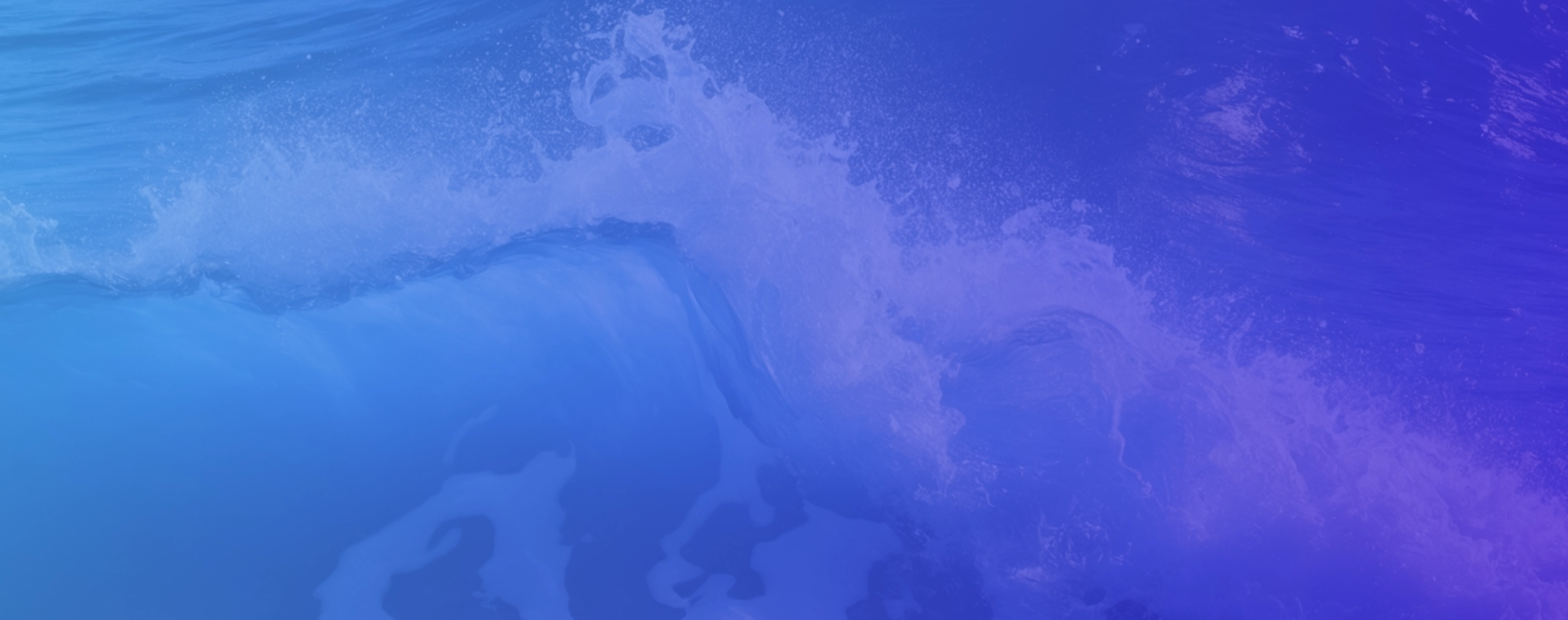 Competitive Displacement: How to Win Market Share by Increasing Discoverability