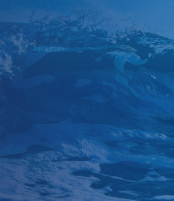 Omnichannel Marketing vs. Multichannel Marketing: What Is the Difference?