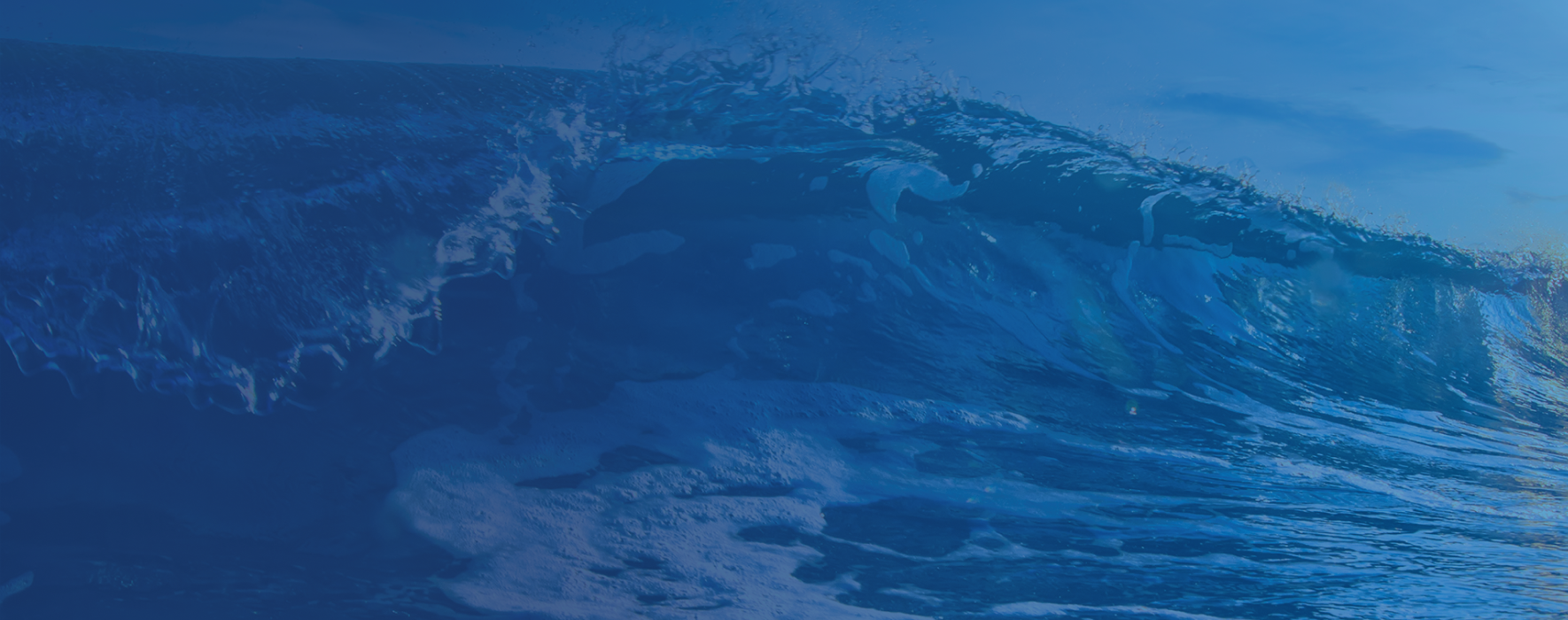 Omnichannel Marketing vs. Multichannel Marketing: What Is the Difference?