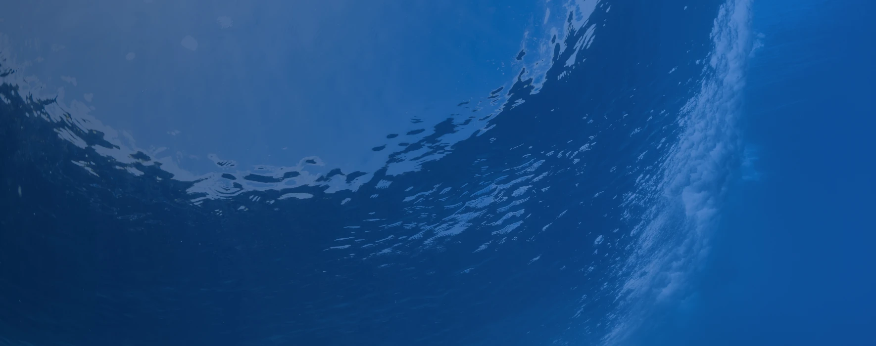 fs background